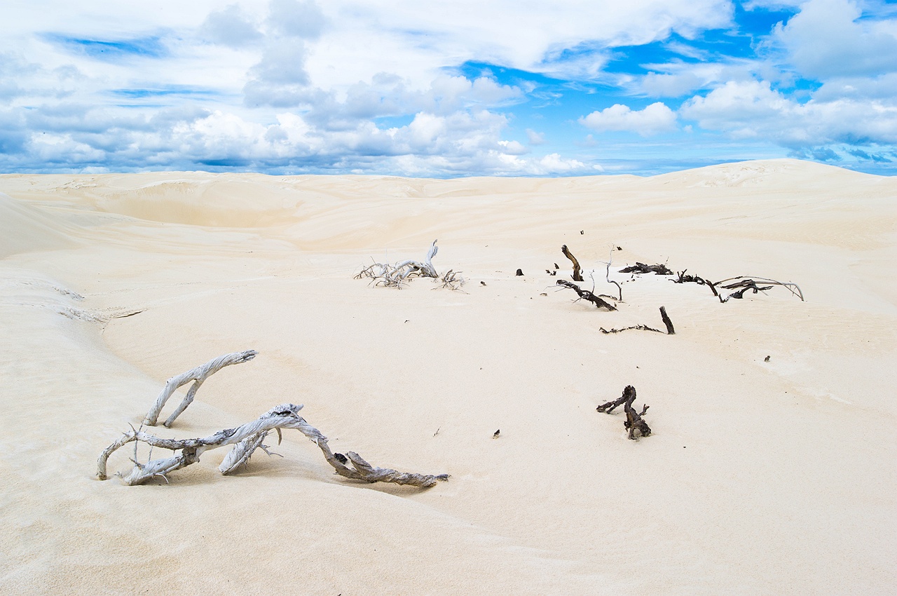 cervantes_sand_dunes_white_cloudy_sky_rob_dose001