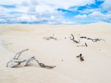 Cervantes Photo Gallery